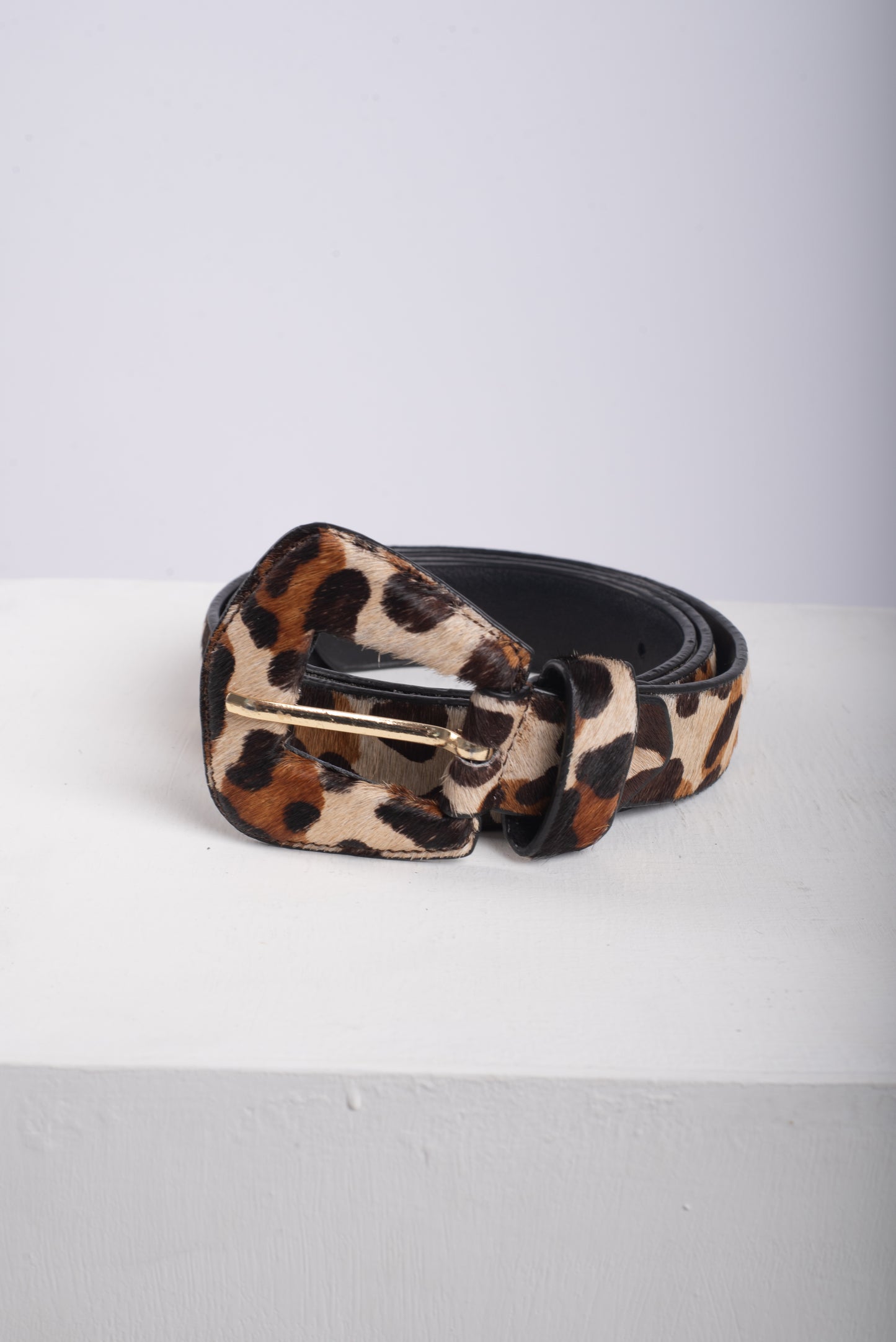 CORREA NOA - ANIMAL PRINT