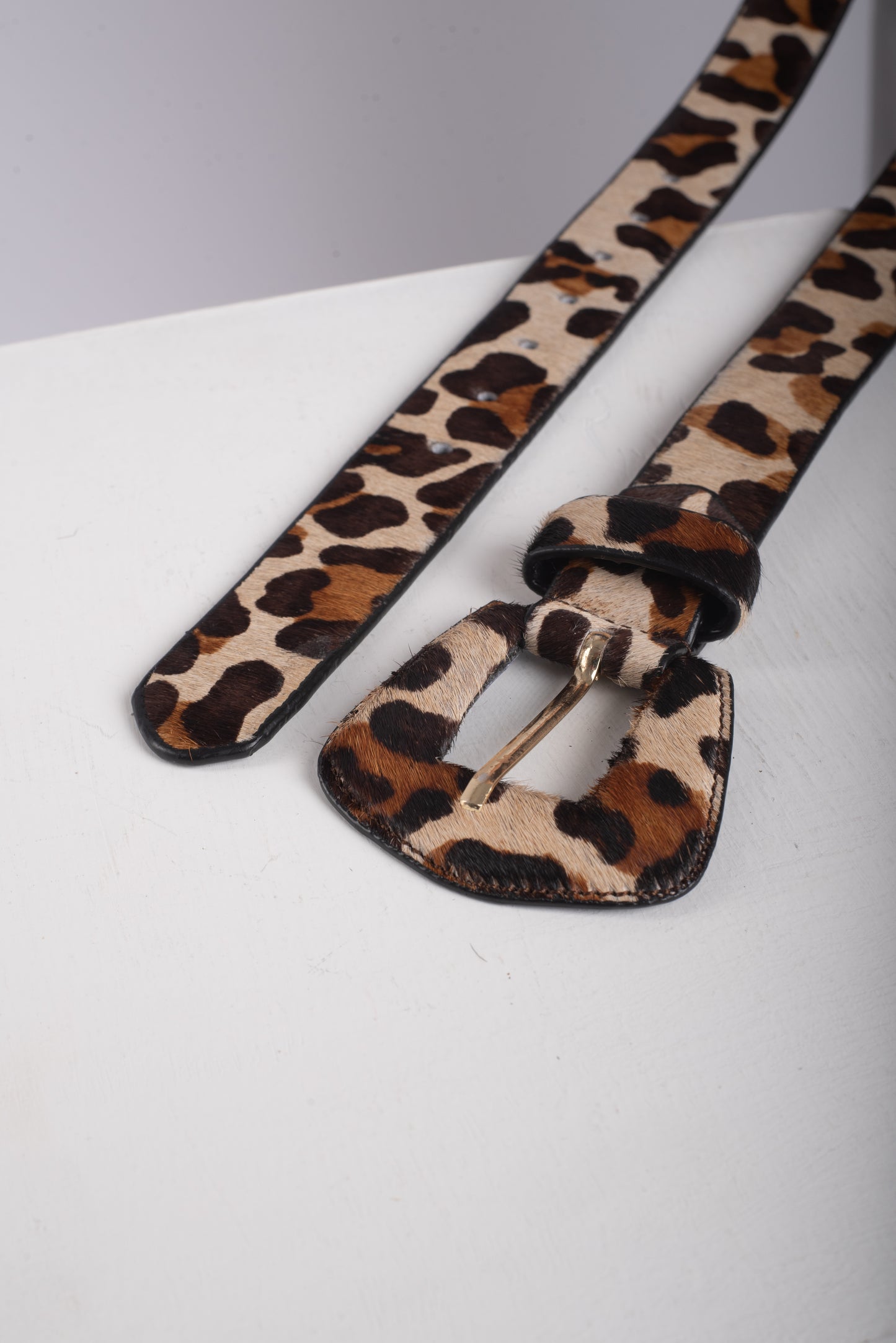CORREA NOA - ANIMAL PRINT
