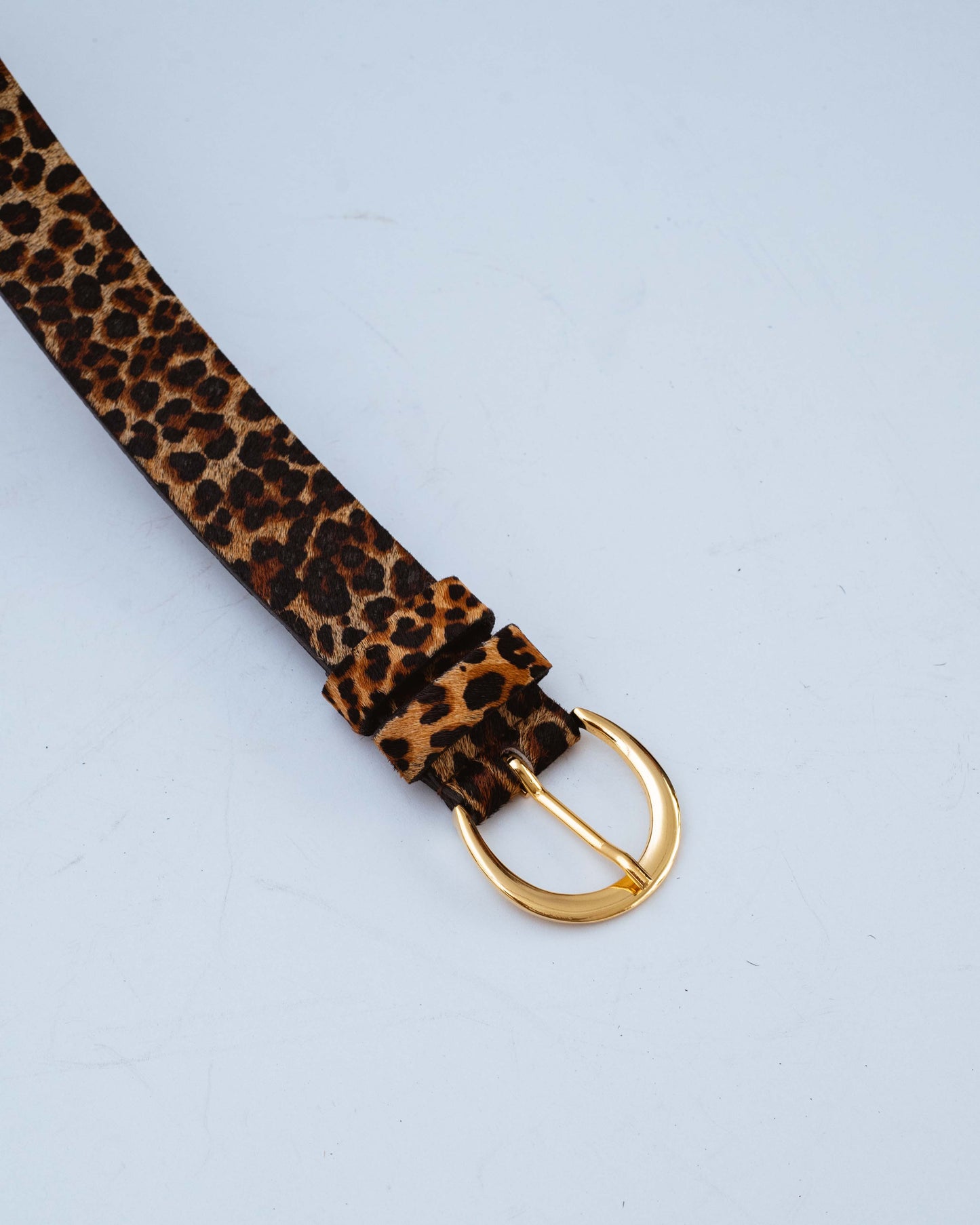 CORREA LUCIANA - ANIMAL PRINT