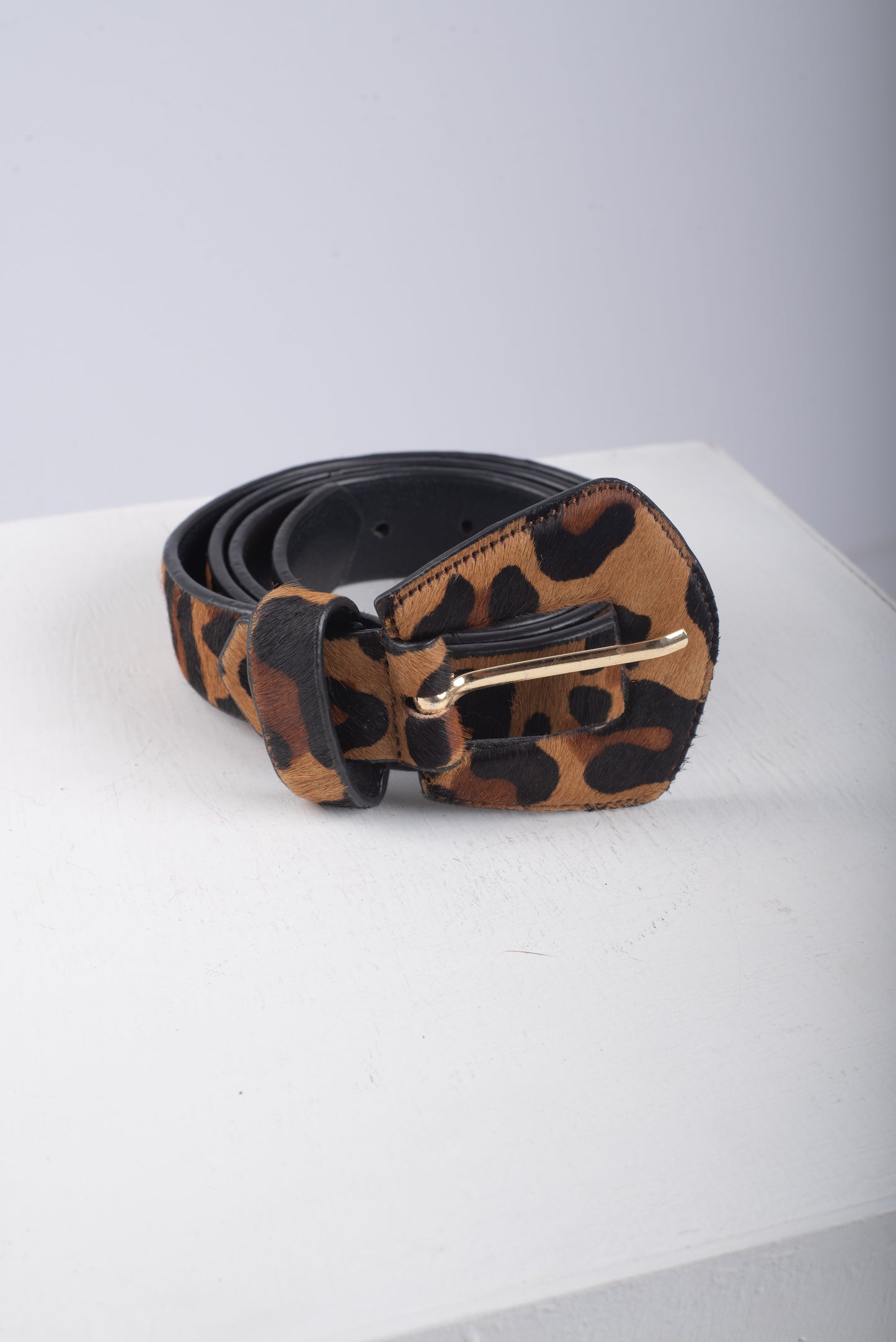 CORREA NOA - ANIMAL PRINT