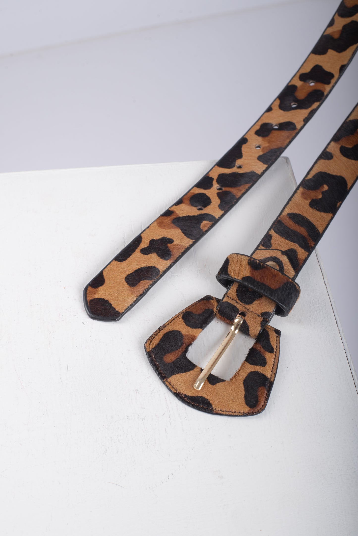 CORREA NOA - ANIMAL PRINT